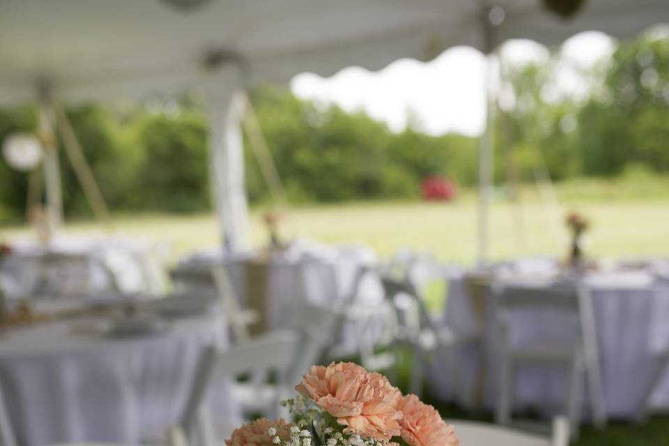 Outdoor wedding