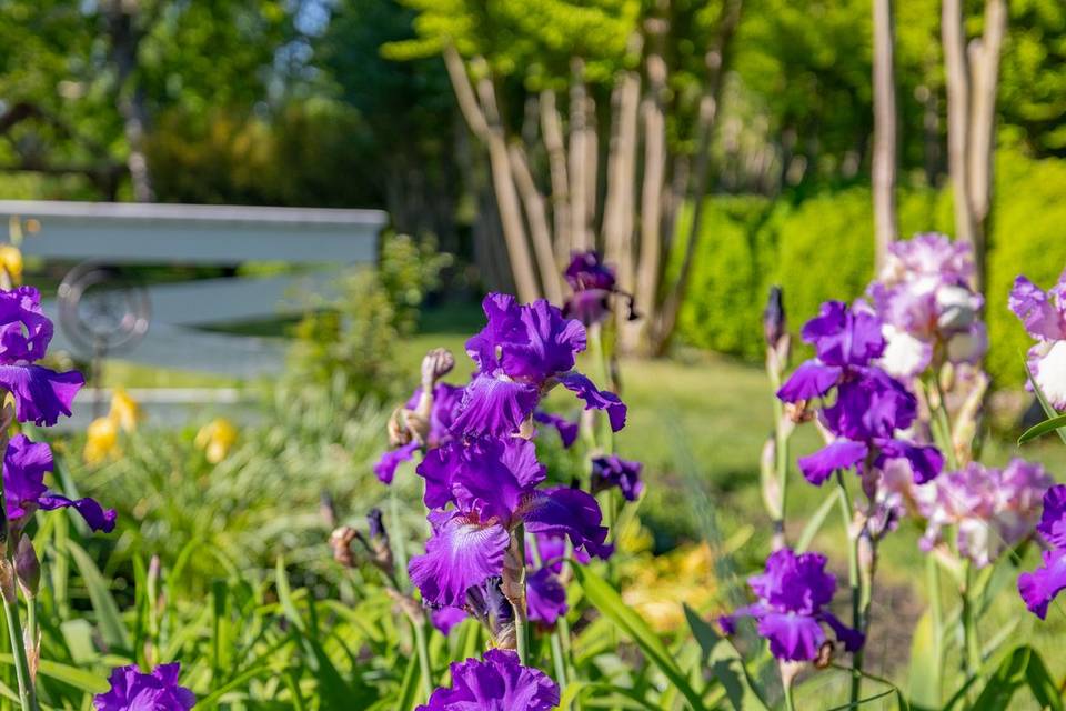 Ceremony Garden