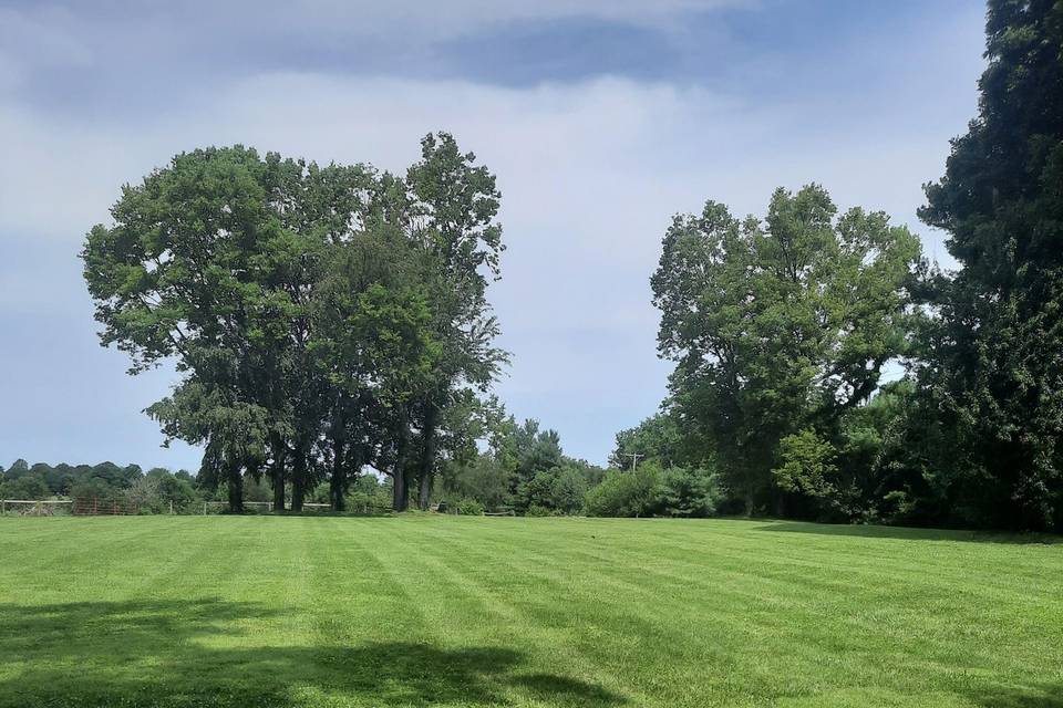 Lawn behind cottage house