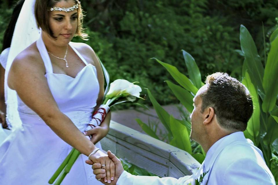 Receiving the Bride