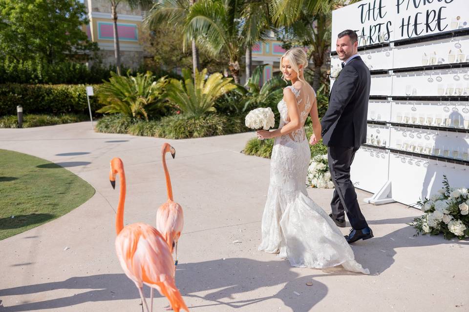 Baha Mar, Grand Hyatt Wedding