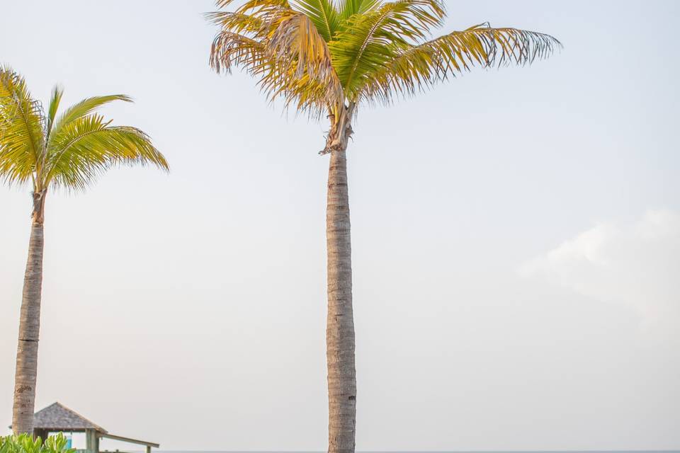 Baha Mar Wedding, The Bahamas