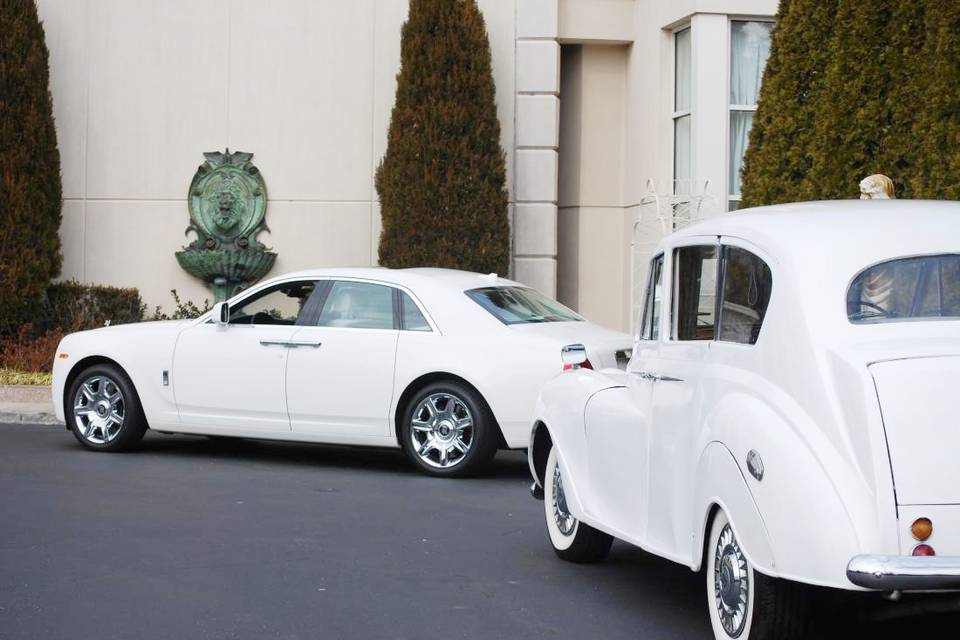 Ace Limousine