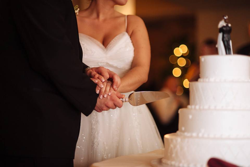 Cutting the cake. Photographed for A Storybook Image.