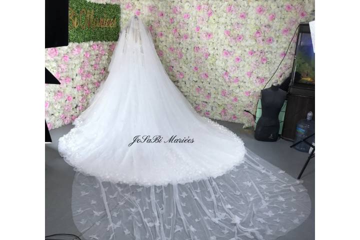 Custom butterfly veil