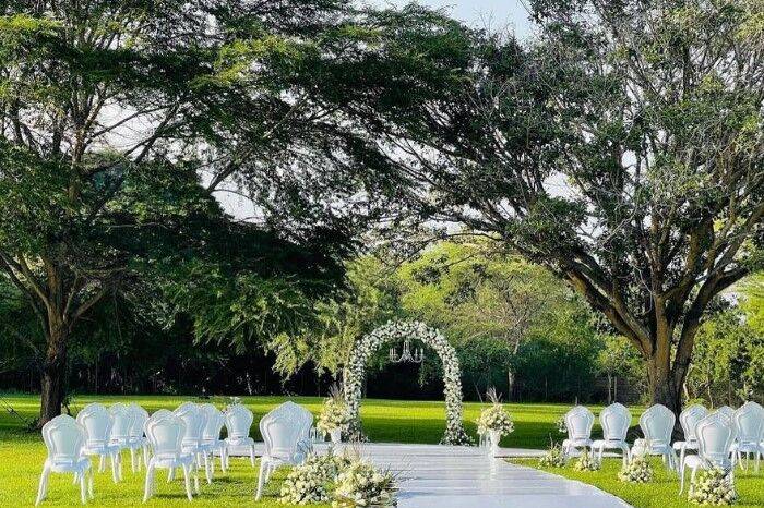 Wedding arch