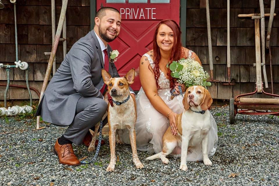 Wedding Puptials