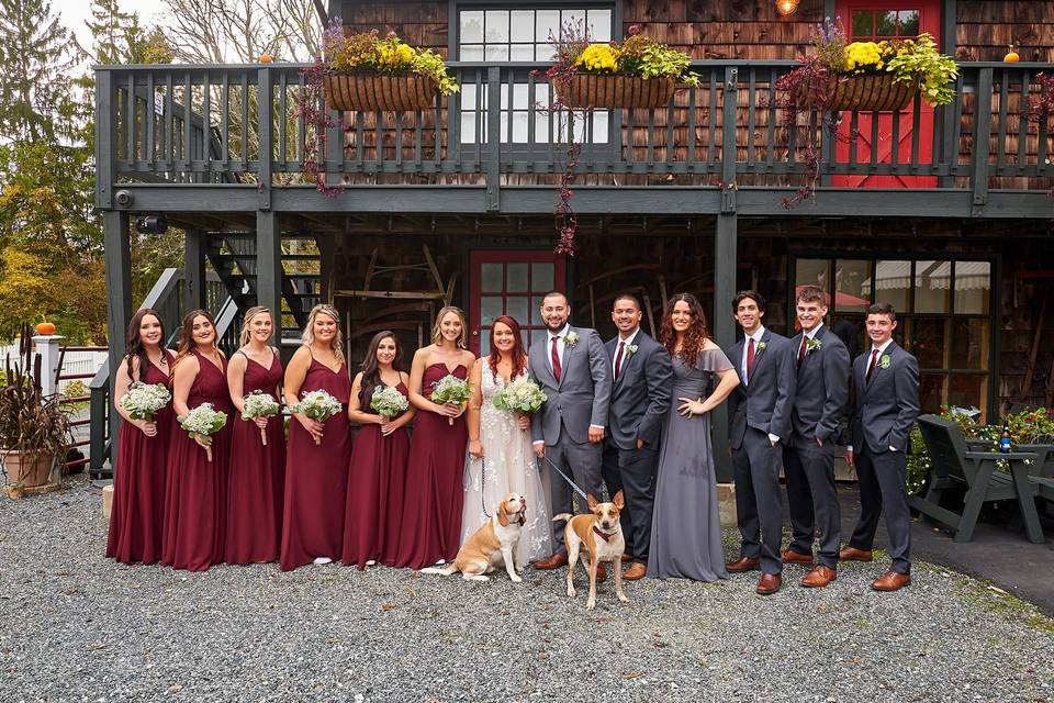 Wedding Puptials