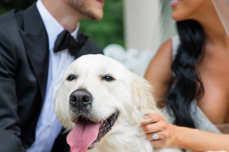 Wedding Puptials