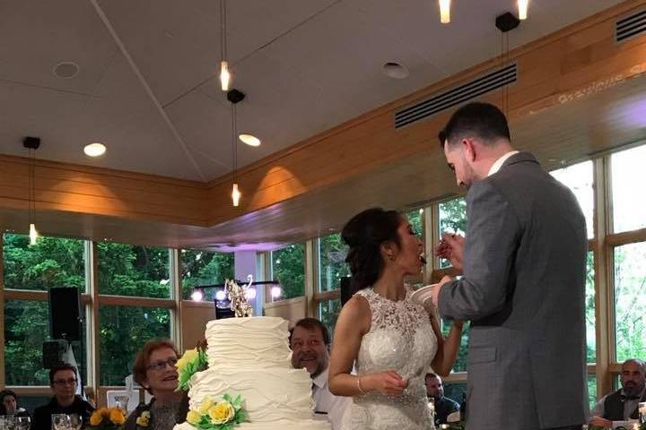 Cake cutting