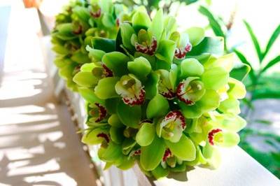 Green cymbidium orchid brides maid's bouquets