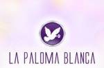 La Paloma Blanca Floral Designs