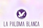 La Paloma Blanca Floral Designs