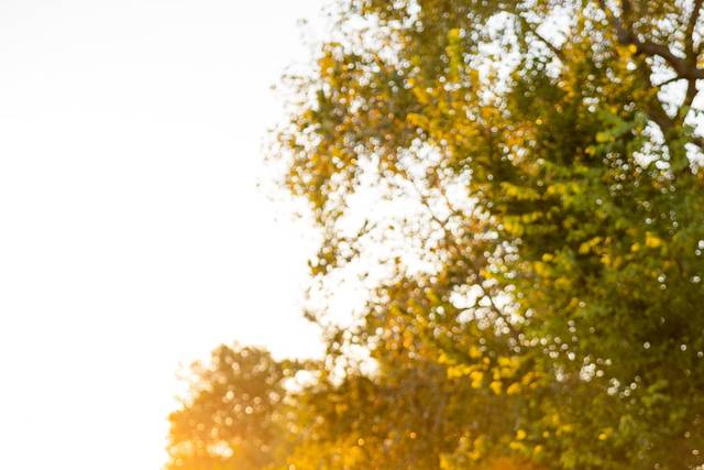 Stl wedding photographer
