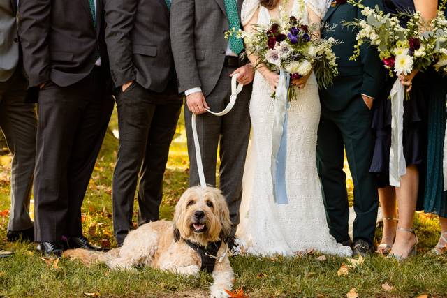 Chelsey Logan Photography