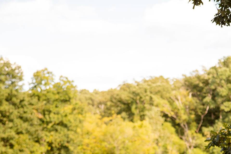 Stl wedding photographer