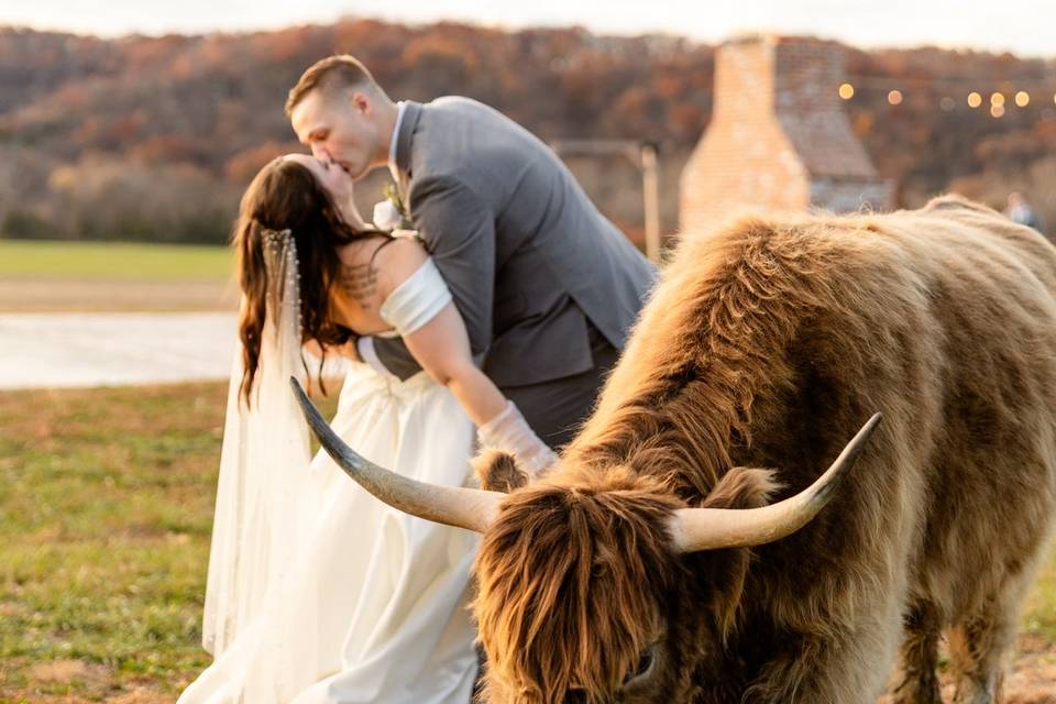 Stl wedding photographer