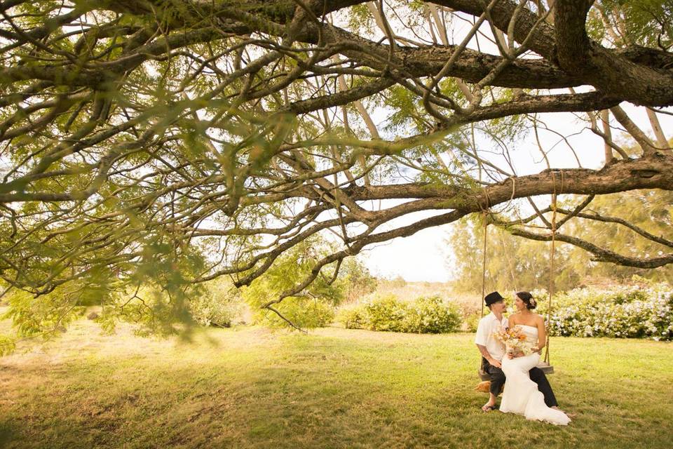 James Cottage Tree Swing. Puaeak Ranch, Hawaii