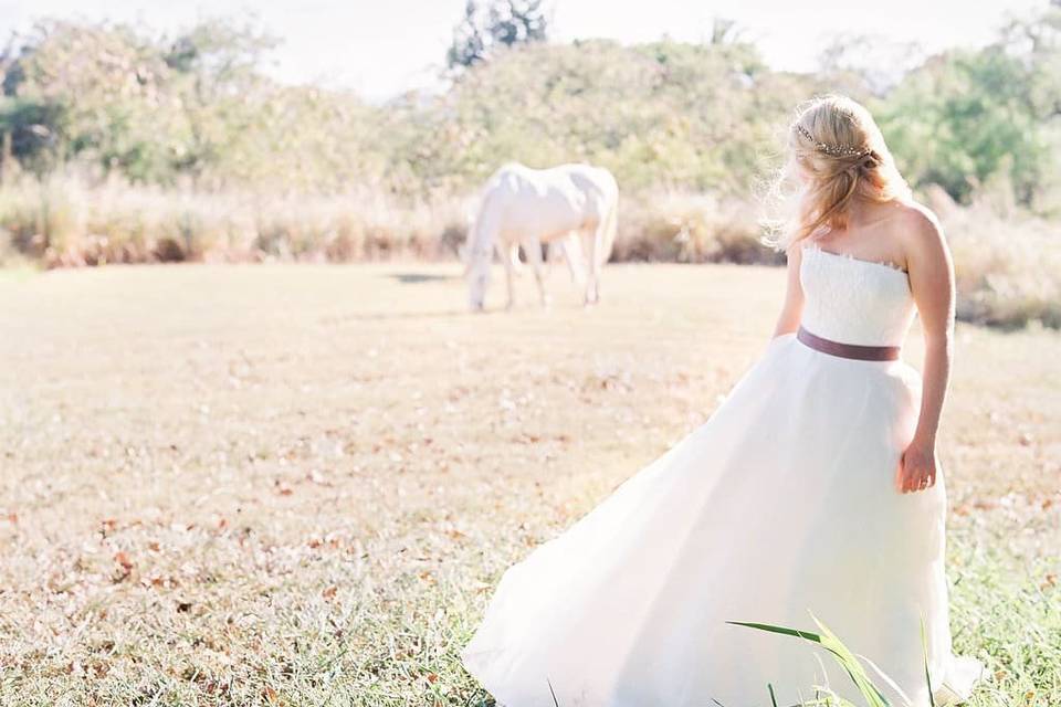 Bride with white horse