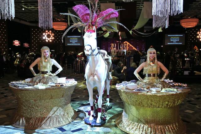 Showhorse& strolling champagne