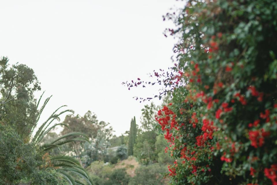 Houdini Estate Wedding