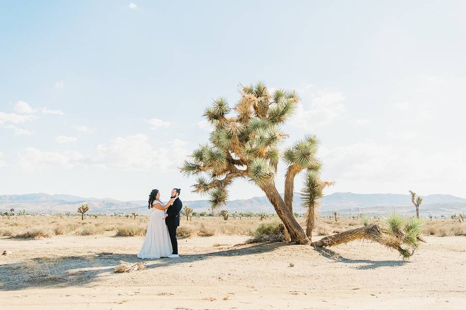 California Desert Wedding