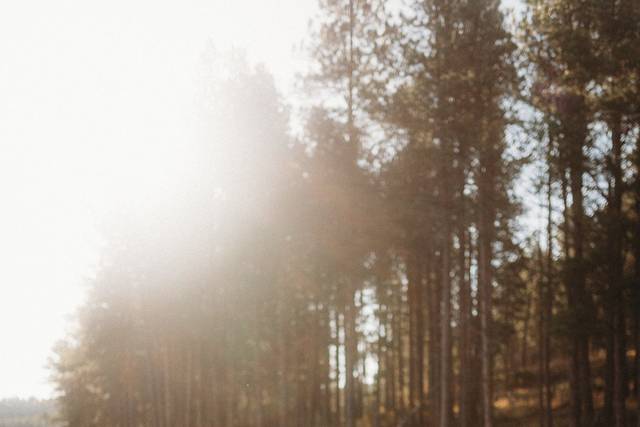 BA Photography - SD Elopement