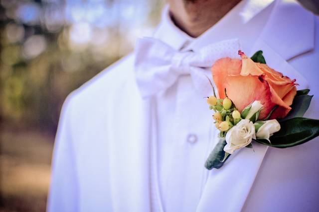 BCD Elegance Photography