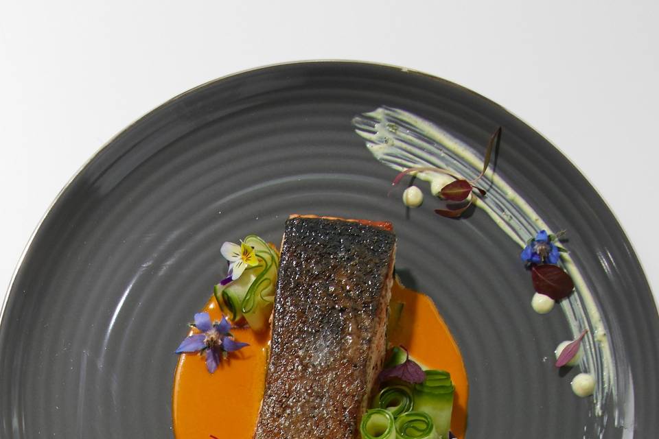 Salmon - plated course