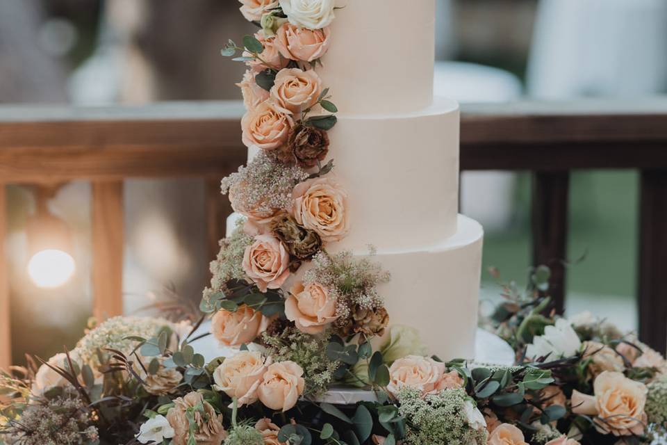 Blush & Cream