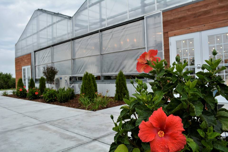 Front view with Hibiscus