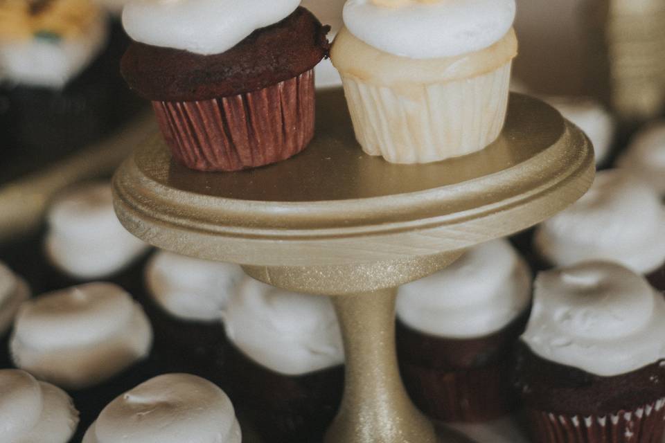 Ashlee C. Photography