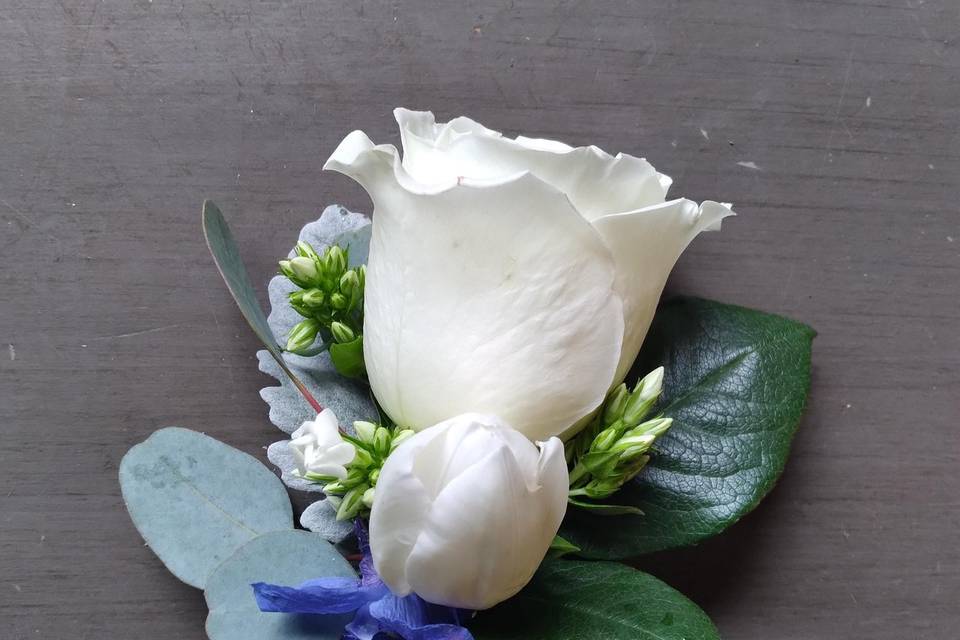 White rose/tulip boutonniere