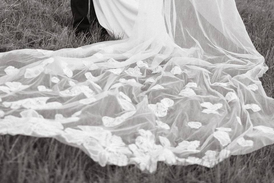 Deep in the Heart Farms