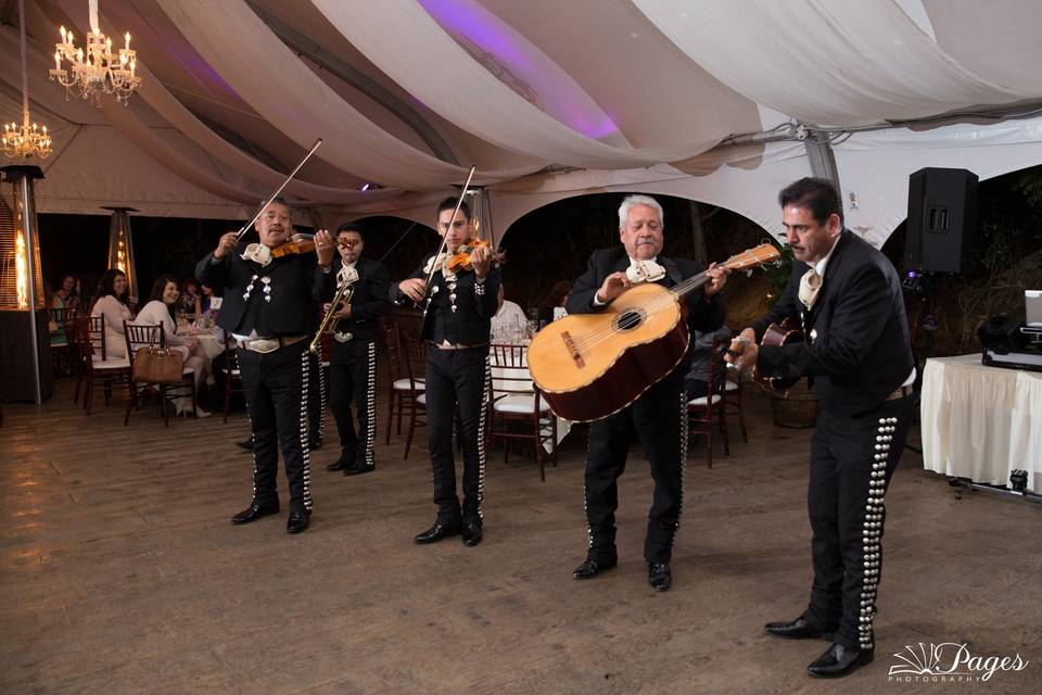 Wedding Mariachi