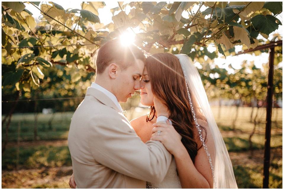 Couple kissing in the sunshine