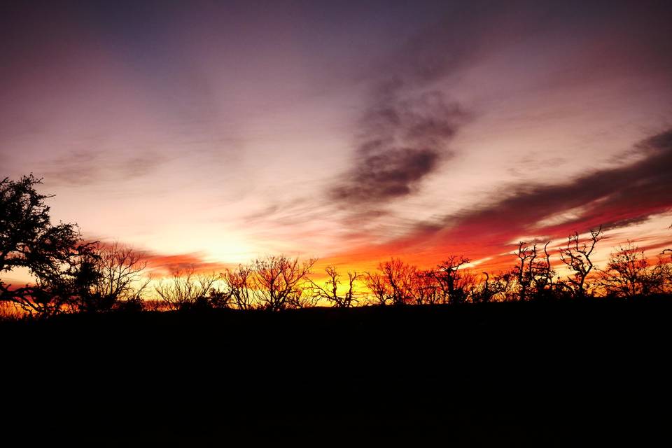 Sunset from the pavilion