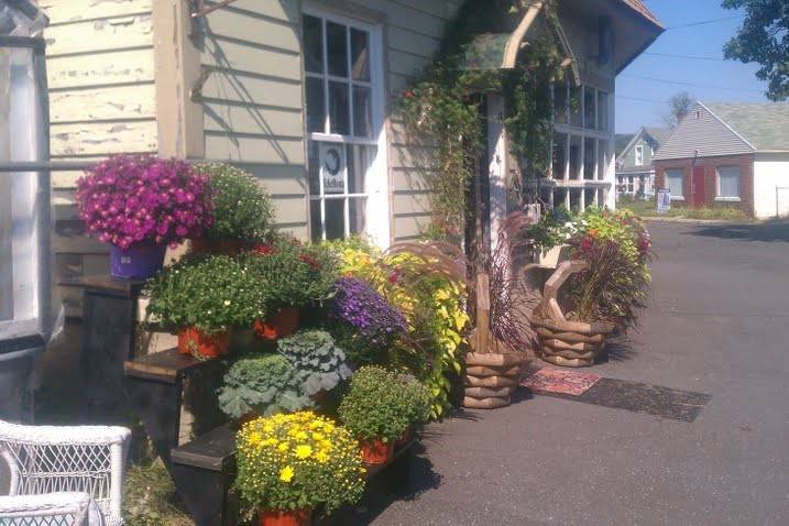 Annabella's Garden llc