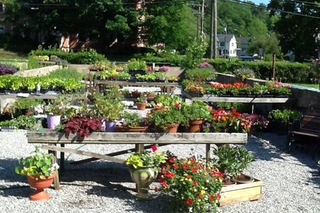 Annabella's Garden llc