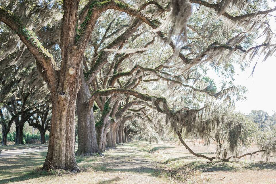 Wormsloe