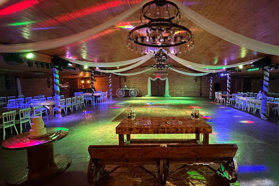 RECEPTION LIGHT DJ