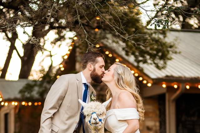 Austin, TX Wedding