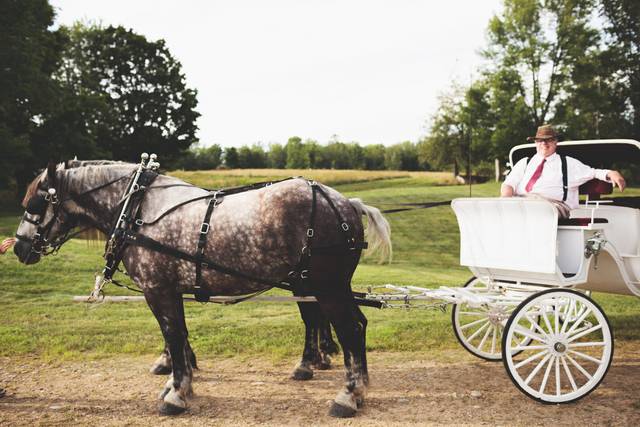Horse & Buggy