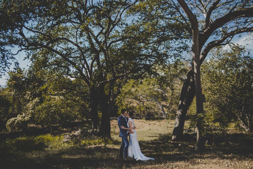 Wedding couple in the woods