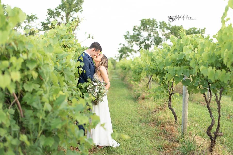 Couple kissing in the vineyard