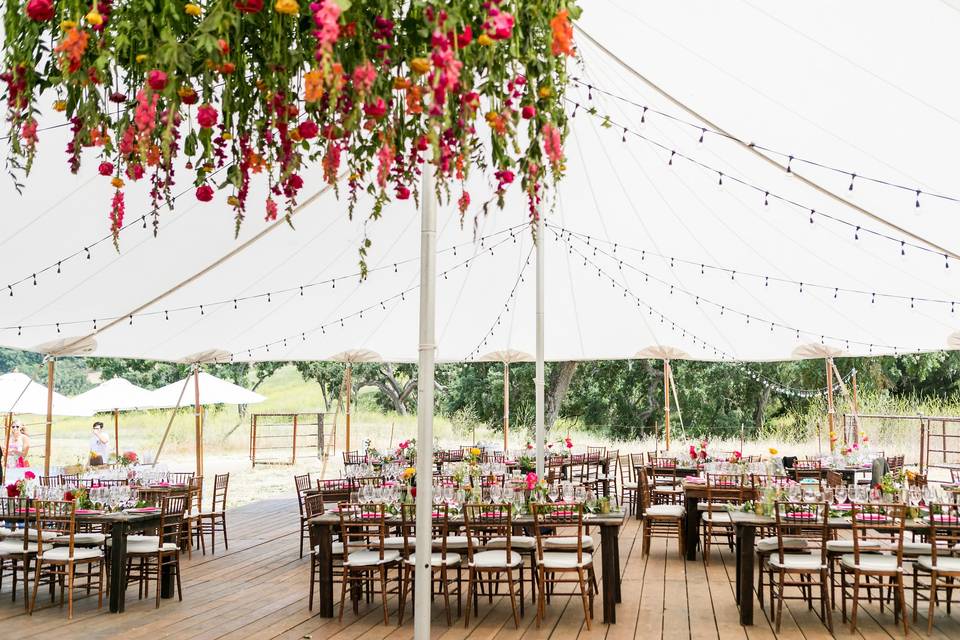 Lush floral canopy