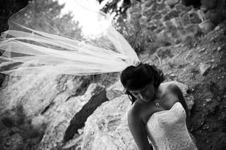 Tamara Murphy Photography