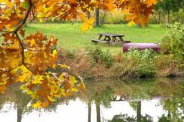 CornerStone Farm grounds