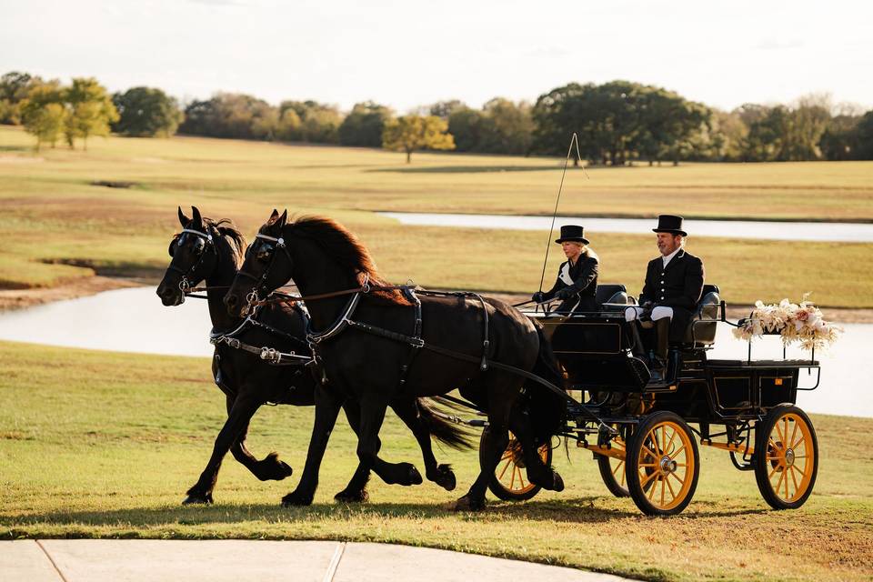 Horse + Carriage