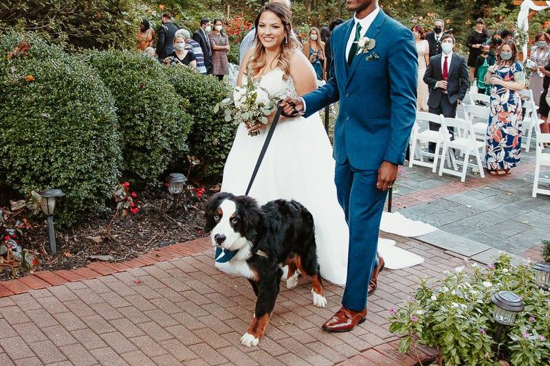 Pawfect Ceremony